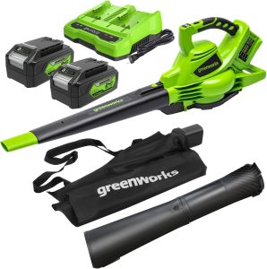 Greenworks GD24X2BVK4X