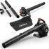 Notre test du BLACK+DECKER BEBLV300-QS